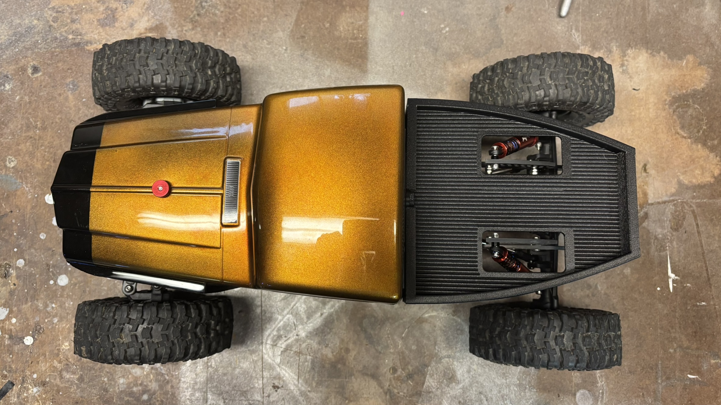 Roxie — top view